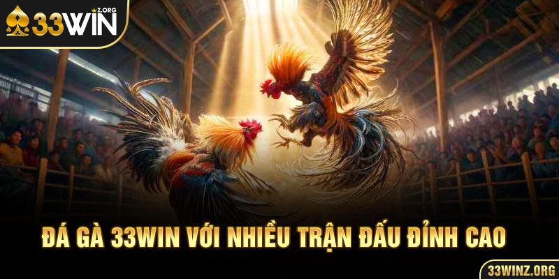 Đá gà 33WIN với nhiều trận đấu đỉnh cao