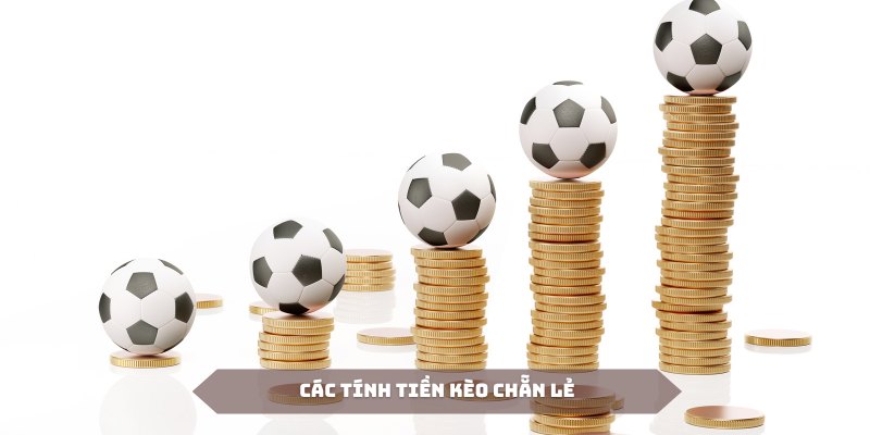 Cách tính tiền kèo chẵn lẻ dựa trên tỷ lệ ODDS quen thuộc