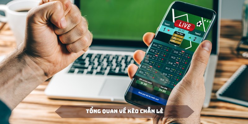 Kèo chẵn lẻ là thể loại kèo phụ được ưa thích hàng đầu hiện nay