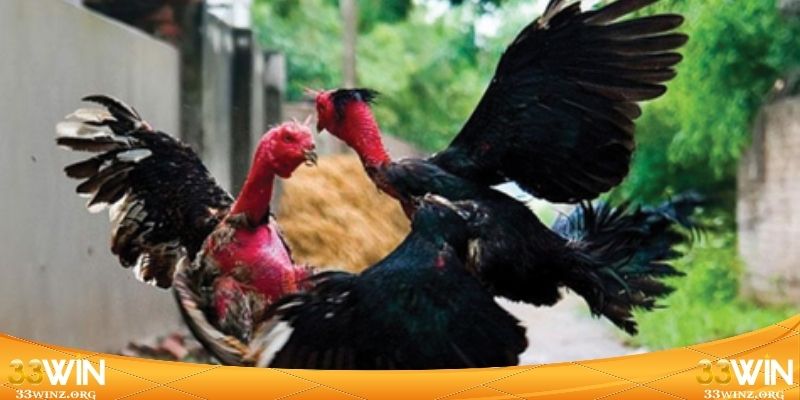 Các quy chuẩn bắt buộc phải nắm rõ