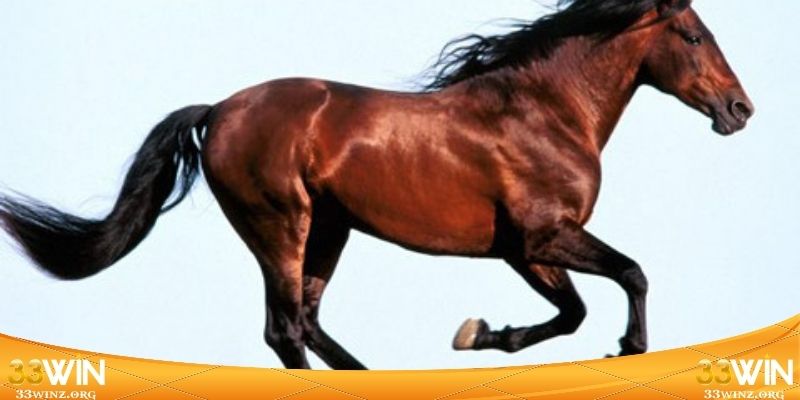 Cần chú ý điềm báo giảm sút sinh khí