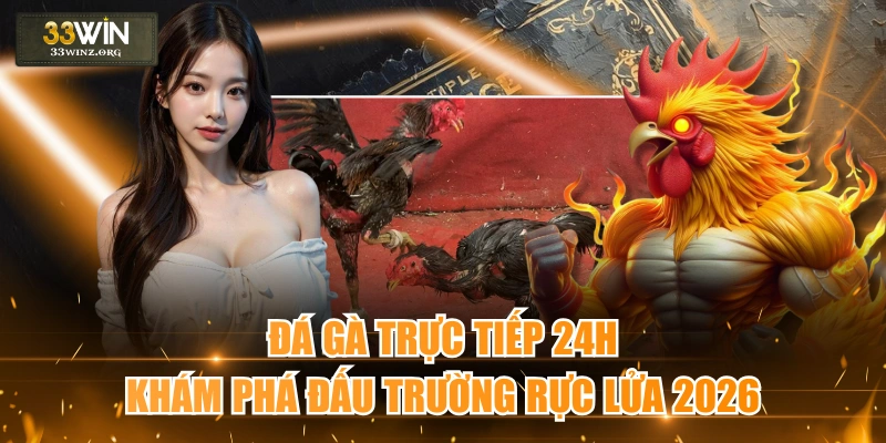 Đá gà trực tiếp 24h