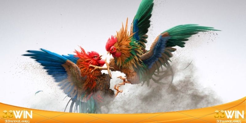 Giải mã sức nóng của sảnh đá gà thomo Vip