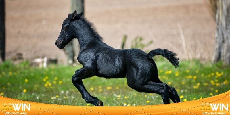 Khám phá tầng ý nghĩa khi mơ thấy ngựa