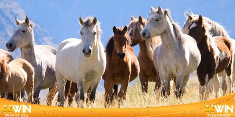 Những chữ số mang lại vượng khí bất ngờ