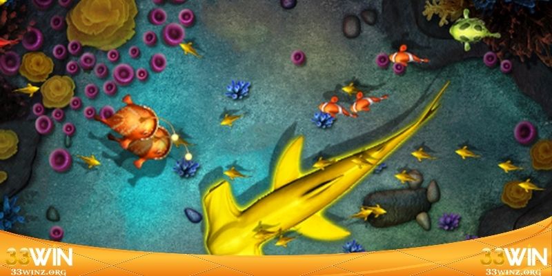 Những lỗi thường gặp khiến ngư thủ mất trắng tiền